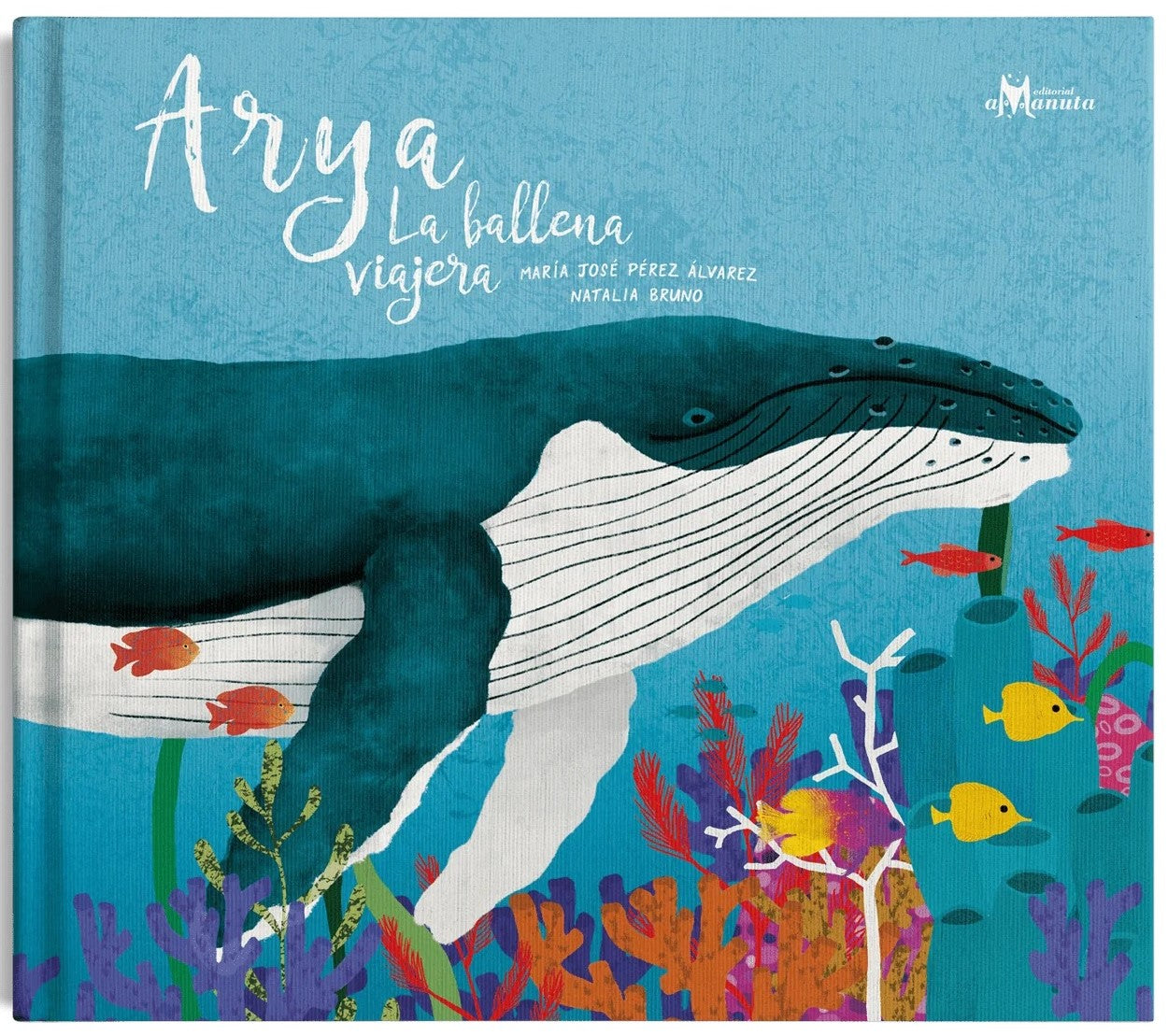 Ayra la Ballena Viajera (Amanuta)