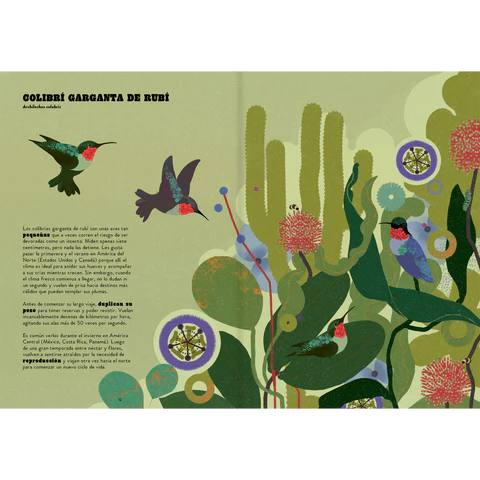 Libro Travesía Animal  (Amanuta)